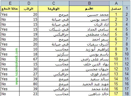 مدخل بيانات