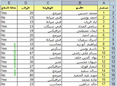 مدخل بيانات